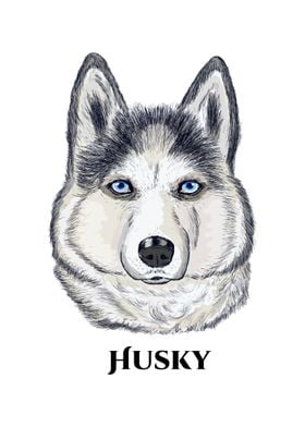 Husky