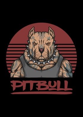 Pit bull