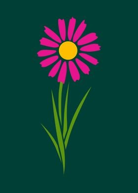 simple daisy flower