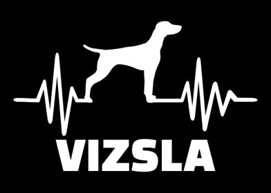 Vizsla