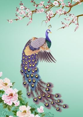 Peacock