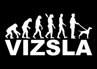 Vizsla