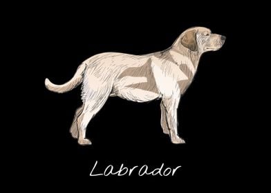 Labrador