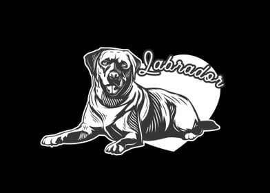 Labrador