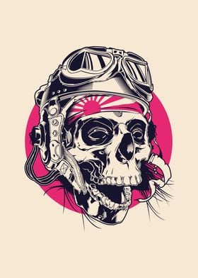 Skull Pilot