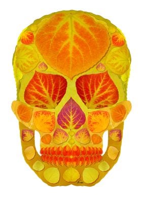 Aspen Leaf Skull 13