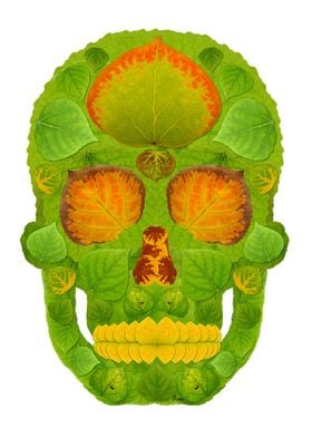 Aspen Leaf Skull 10