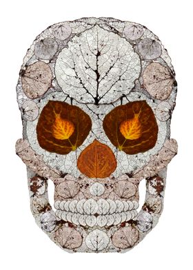 Aspen Leaf Skull 11