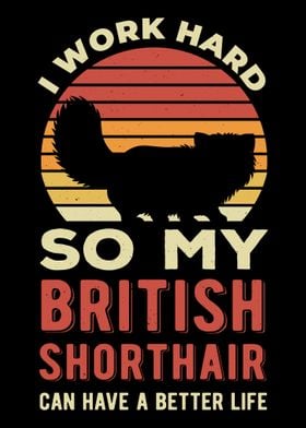 Funny British Shorthair