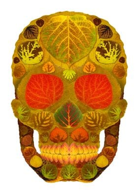 Aspen Leaf Skull 12