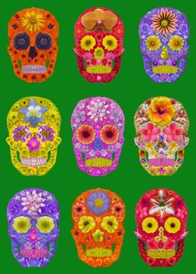 Flower Skulls Collection 