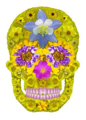 Flower Skull 3