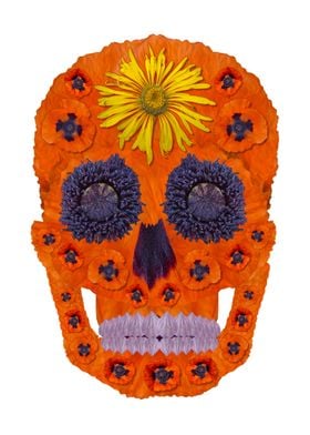 Flower Skull 1