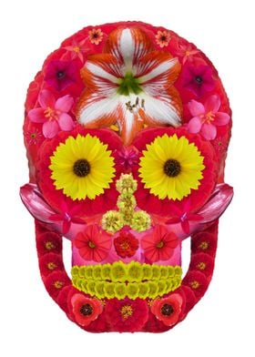 Flower Skull 6