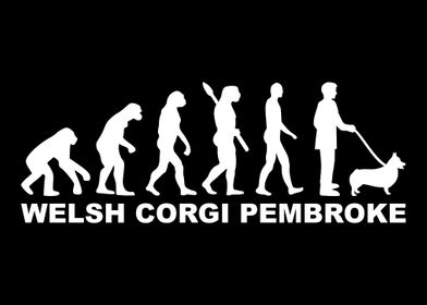 Welsh Corgi Pembroke