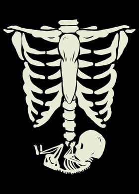 Skeleton Bone Thorax Anato