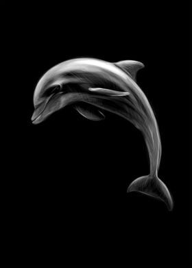 Dolphin Sketching