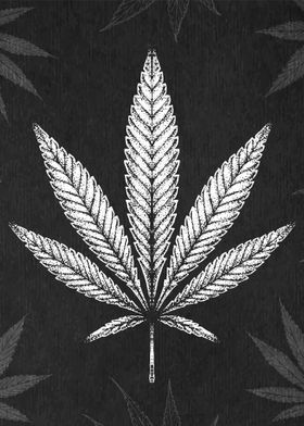  Cannabis