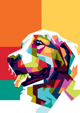 Golden Retriever WPAP