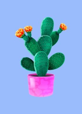 Cactus