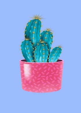 Cactus