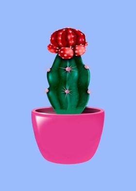 Cactus