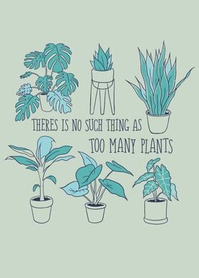 TOO MANY PLANTS
