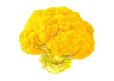 Orange cauliflower