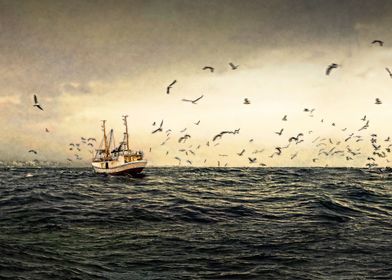 Fish Trawler Boat seagulls