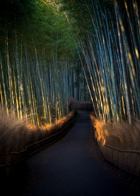 Shiny Bamboo Forest