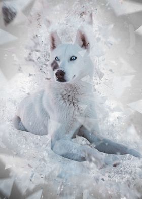 snow wolf