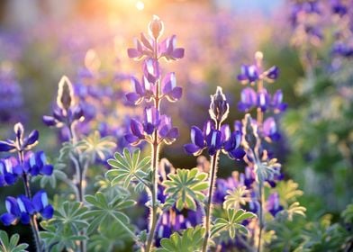 Flowers Landscape