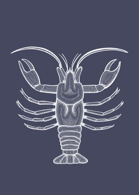 Crayfish or Crawdad design