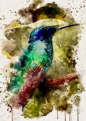 Watercolour Hummingbird