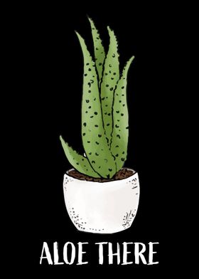 Aloe Vera Garden Plant Flo