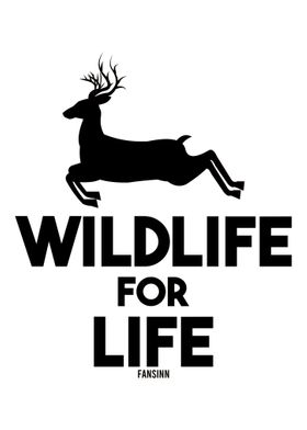 Gazelle antelope deer Afri