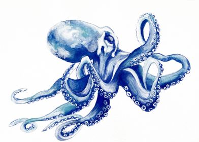 Octopus Jim