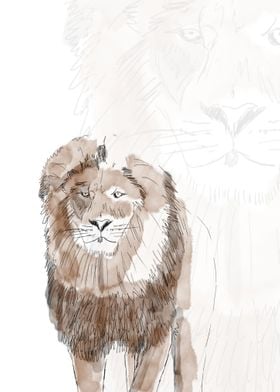 Lion