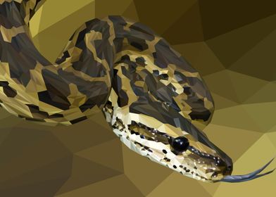 Python in Low Poly