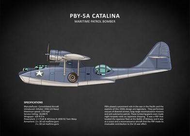 The PBY Catalina