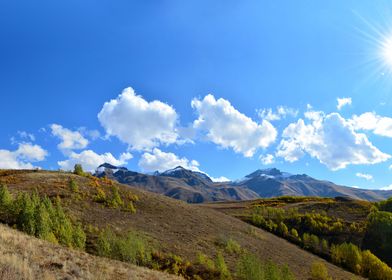 Autumn Landscape