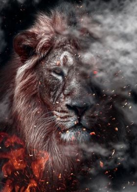 wild lion king on fire art