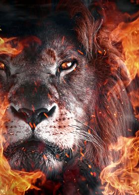 Lion king face on fire art