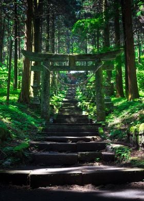 The Secret Shrine of Aso