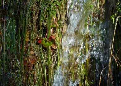 petit waterfall