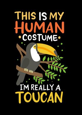 Toucan