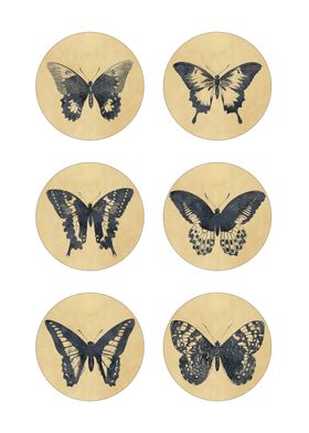 Vintage Butterflies Set