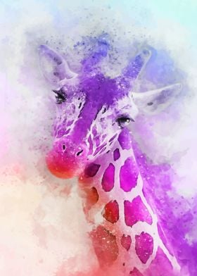 Giraffe 