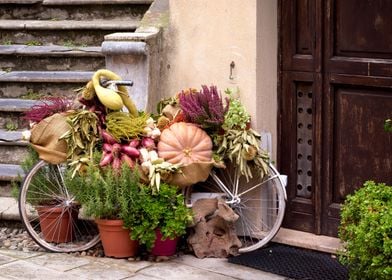 exterior pumpkins