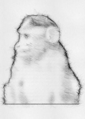 Monkey Pencil Drawing Art